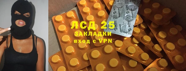 прущие грибы Алзамай