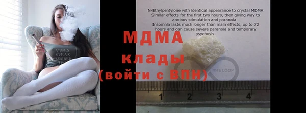 прущие грибы Алзамай