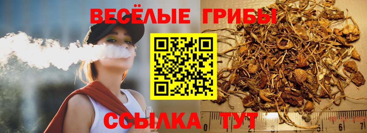 Псилоцибиновые грибы ЛСД  Вход с VPN  Галлюциногенные грибы GOLDEN TEACHER  купить закладку  Пушкино 